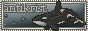 AntiKrist